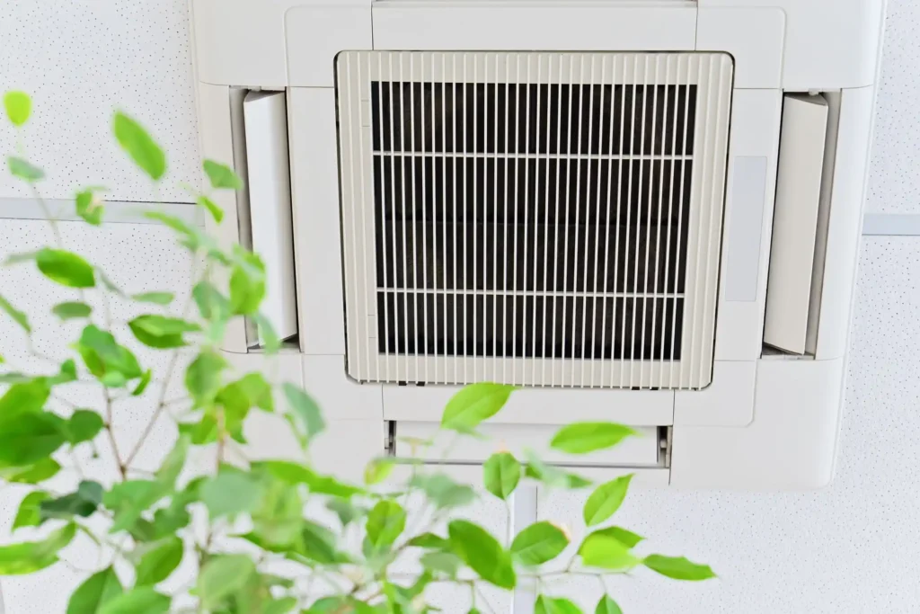 Ceiling air conditioner unit with plant.
